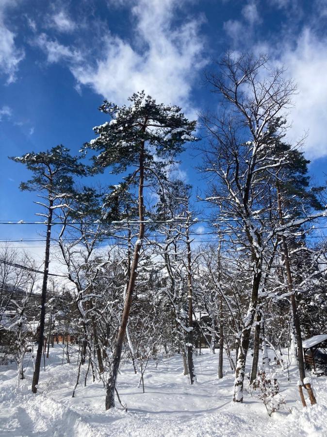 Seventh Heaven Hakuba Hotel Exterior foto